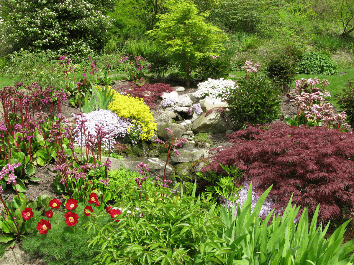 Landscaping Around Trees with Rocks, Stones and Flowers